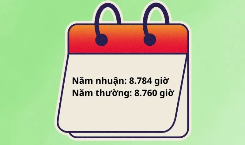 Số giờ trong một năm