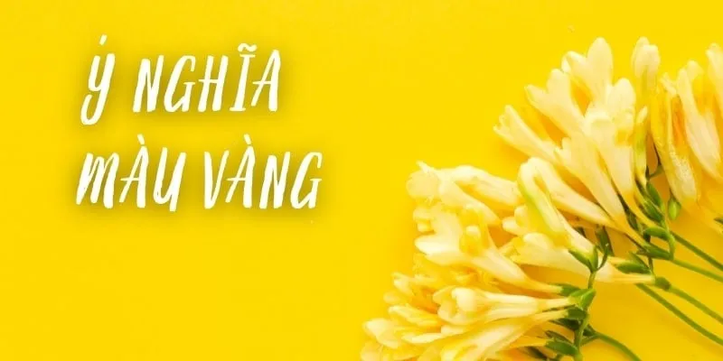 Ý nghĩa của màu vàng