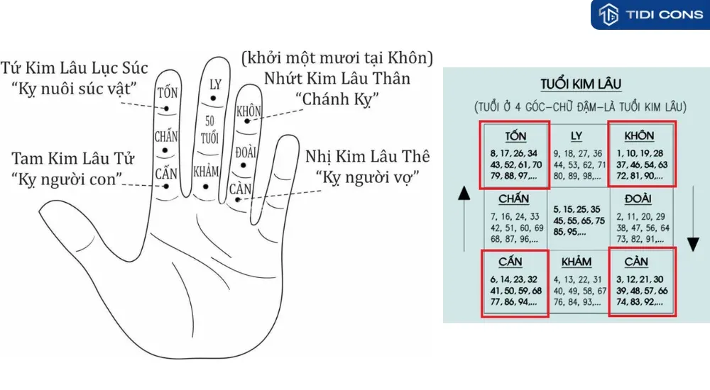 Cách tính hạn Kim Lâu cho gia chủ Tuổi Nhâm Thân 1992