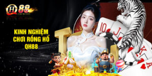 Kinh nghiệm chơi game thắng đậm tại sảnh Rồng Hổ QH88